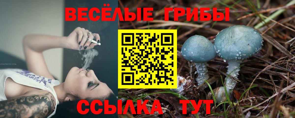 Псилоцибиновые грибы ЛСД  Вход с VPN  где найти   Череповец 